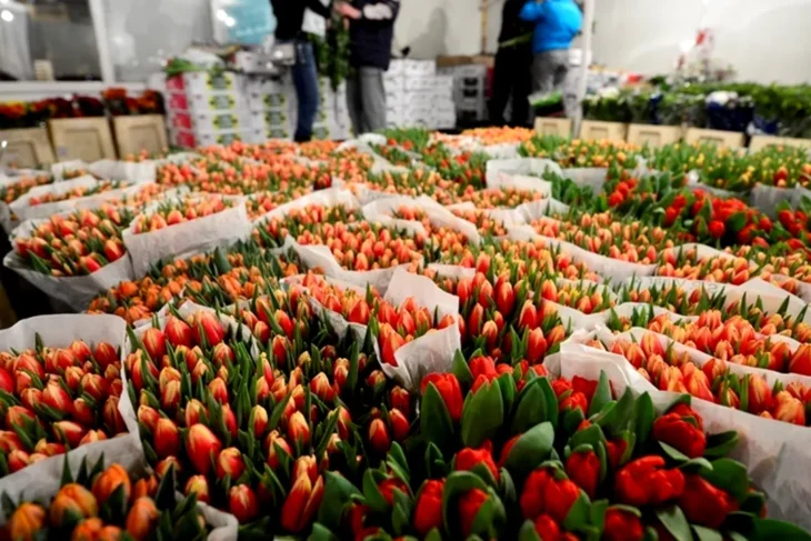 florarii-au-dat-deja-lovitura-si-mai-urmeaza-1-si-8-martie.-cati-bani-produc-florariile-si-furnizorii-de-flori-din-romania