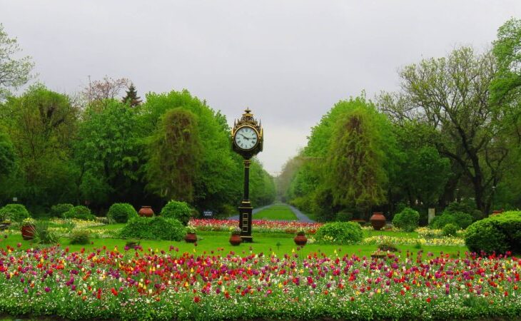 ce-poti-face-in-bucuresti-in-weekendul-6-8-martie-2026,-de-ziua-femeii