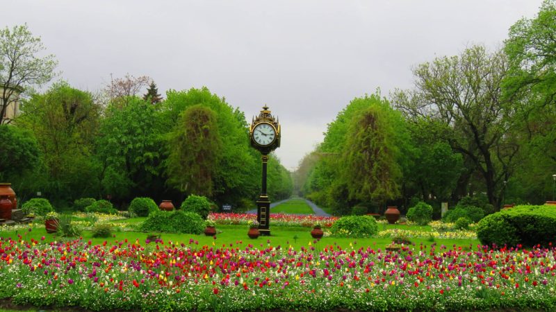 ce-poti-face-in-bucuresti-in-weekendul-6-8-martie-2026,-de-ziua-femeii