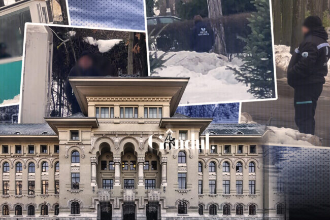 primaria-capitalei-arunca-pe-fereastra-milioane-de-lei-pentru-paza-parcului-herastrau-cu-bodyguarzi-care-mai-mult-taie-frunza-la-caini.-marile-parcuri-din-bucuresti,-pazite-cu-un-contract-de-peste-7-milioane-de-euro