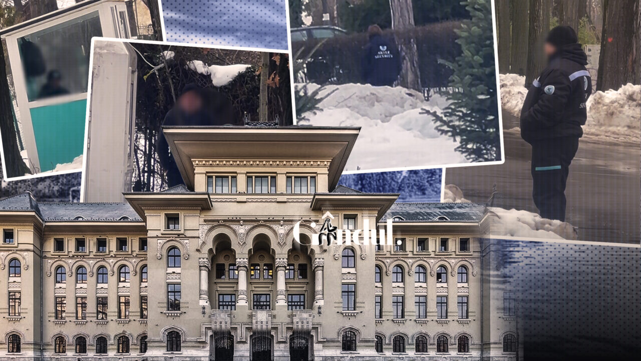 primaria-capitalei-arunca-pe-fereastra-milioane-de-lei-pentru-paza-parcului-herastrau-cu-bodyguarzi-care-mai-mult-taie-frunza-la-caini.-marile-parcuri-din-bucuresti,-pazite-cu-un-contract-de-peste-7-milioane-de-euro