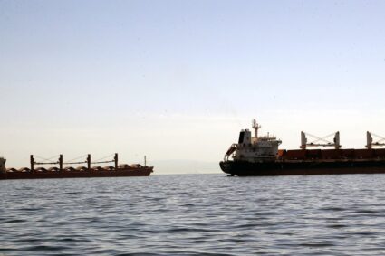 ce-vine-cu-mercosur.-un-cargo-cu-seminte-de-floarea-soarelui-din-argentina,-dat-la-biodiesel-in-bulgaria