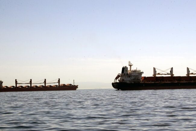 ce-vine-cu-mercosur.-un-cargo-cu-seminte-de-floarea-soarelui-din-argentina,-dat-la-biodiesel-in-bulgaria