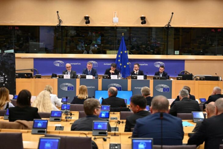 planul-uniunii-europene-pentru-flancul-estic:-investitii,-infrastructura-si-aparare-antidrona