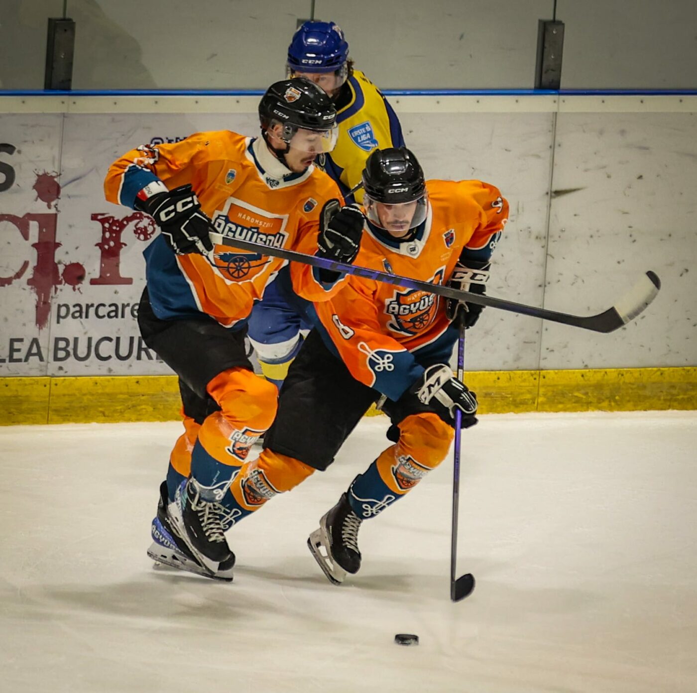 acsh-gheorgheni-si-a-pastrat-titlul.-harghitenii-au-castigat-campionatul-la-hochei-chiar-pe-terenul-rivalei-corona-brasov