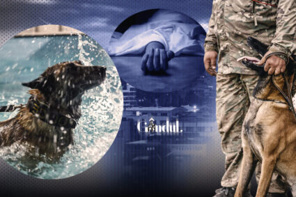 tragedie-intr-o-baza-aeriana-din-romania-un-militar-de-30-de-ani-a-murit-dupa-ce-a-incercat-sa-salveze-un-caine.-cum-s-a-produs-dezastrul