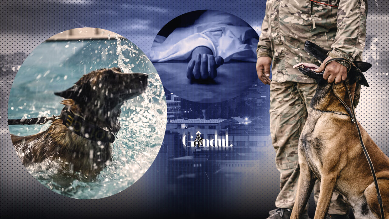 tragedie-intr-o-baza-aeriana-din-romania-un-militar-de-30-de-ani-a-murit-dupa-ce-a-incercat-sa-salveze-un-caine.-cum-s-a-produs-dezastrul