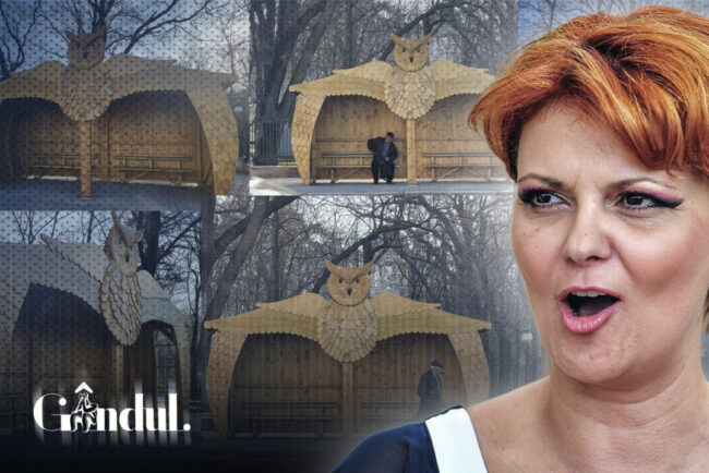 o-statie-de-autobuz-din-craiova-a-aprins-internetul-si-face-inconjurul-tarii-cu-forma-nonconformista.-pozele-au-fost-postate-chiar-de-primarita-lia-olguta-vasilescu