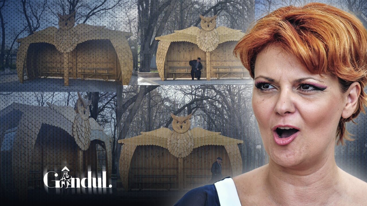 o-statie-de-autobuz-din-craiova-a-aprins-internetul-si-face-inconjurul-tarii-cu-forma-nonconformista.-pozele-au-fost-postate-chiar-de-primarita-lia-olguta-vasilescu