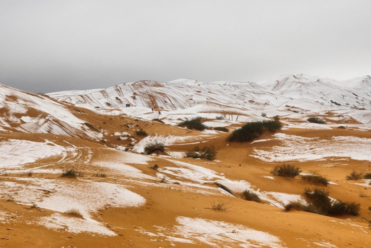 efectele-incalzirii-globale-ninge-in-sahara.-dunele-aride-s-au-transformat-in-derdelus