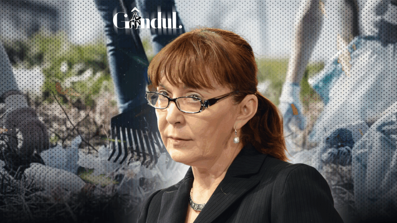 monica-macovei,-fostul-ministru-al-justitiei,-nu-mai-vrea-sa-presteze-munca-in-folosul-comunitatii.-ce-a-cerut-instantei