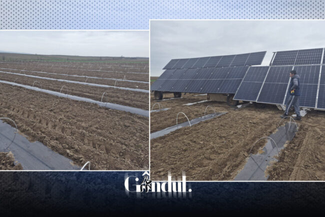 solutie-pentru-a-inlocui-motopompele-cu-benzina-si-motorina.-fermierii-trec-la-panouri-solare-in-campurile-de-pepeni