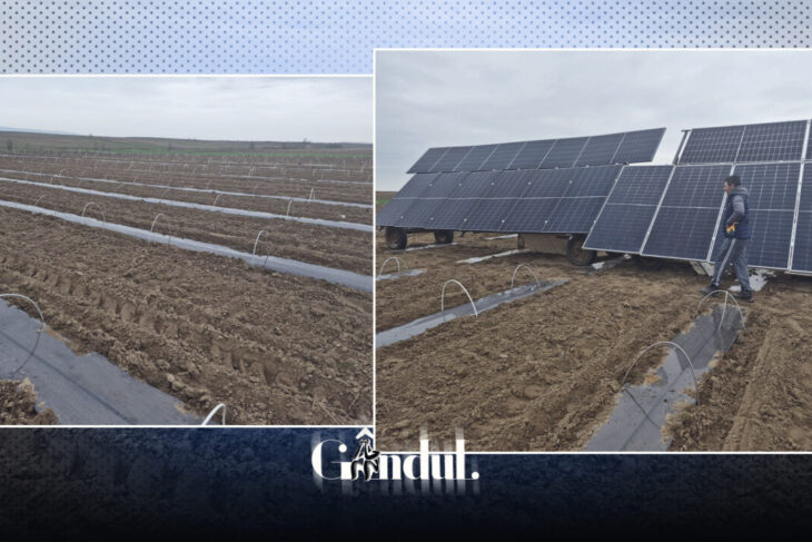 solutie-pentru-a-inlocui-motopompele-cu-benzina-si-motorina.-fermierii-trec-la-panouri-solare-in-campurile-de-pepeni