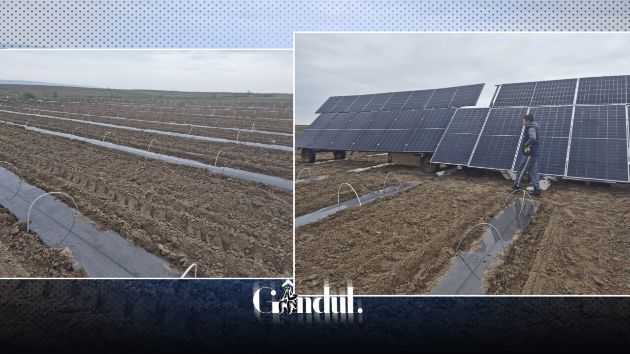 solutie-pentru-a-inlocui-motopompele-cu-benzina-si-motorina.-fermierii-trec-la-panouri-solare-in-campurile-de-pepeni