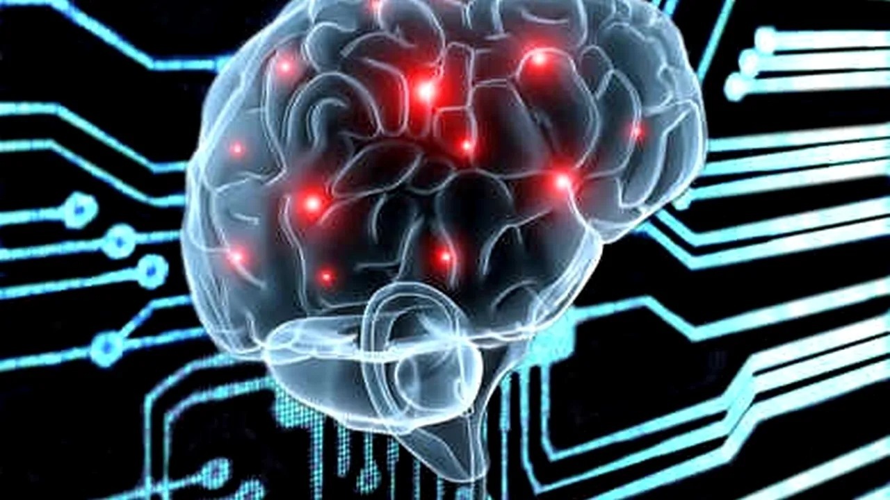 cum-functioneaza-sistemul-de-navigatie-al-creierului-uman.-descoperire-uriasa-in-neurostiinta-facuta-de-un-cercetator-german