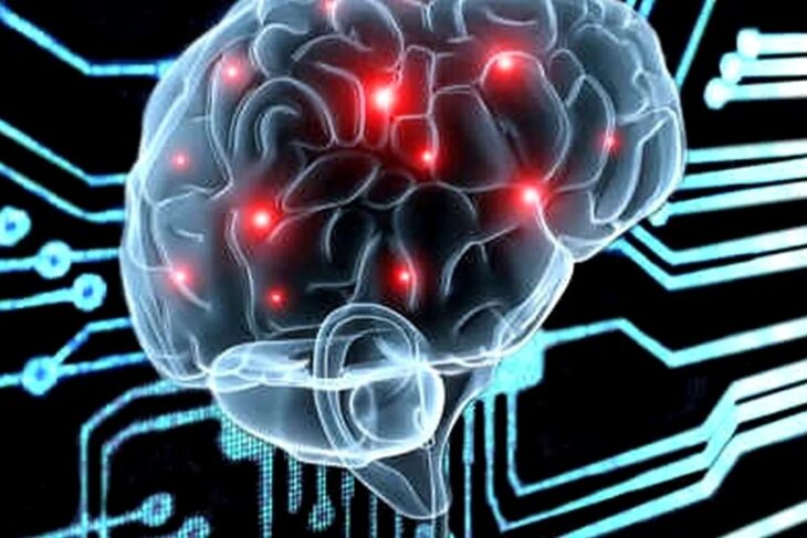 dieta-care-poate-incetini-imbatranirea-creierului-cu-aproape-3-ani.-reduce-riscul-de-dementa-si-mentine-functiile-cognitive