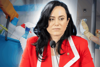 simona-bucura-oprescu:-legea-asigurarilor-si-pensiilor-pentru-prestatorii-de-munci-casnice-fost-adoptata.-cine-si-cum-poate-beneficia