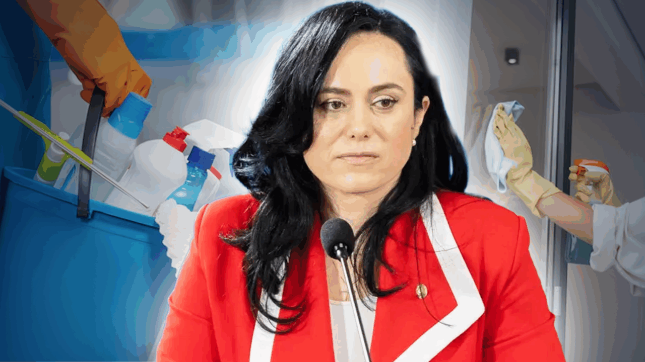 simona-bucura-oprescu:-legea-asigurarilor-si-pensiilor-pentru-prestatorii-de-munci-casnice-fost-adoptata.-cine-si-cum-poate-beneficia