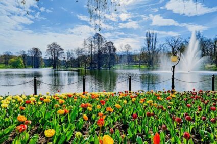 craiova,-in-topul-preferintelor-pentru-city-break:-tot-mai-multi-turisti-descopera-farmecul-orasului