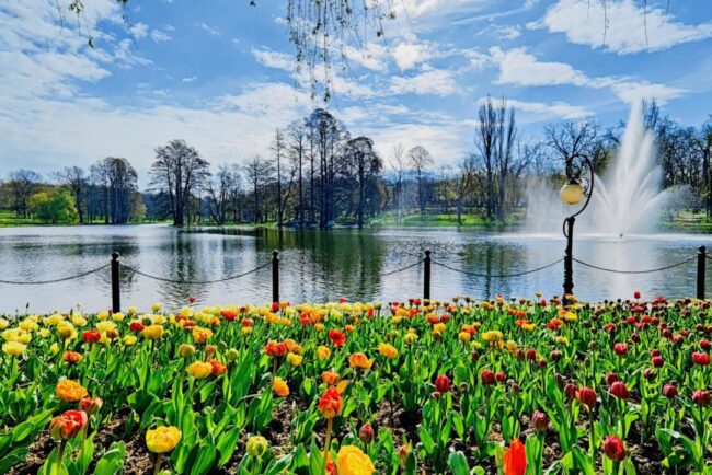 craiova,-in-topul-preferintelor-pentru-city-break:-tot-mai-multi-turisti-descopera-farmecul-orasului