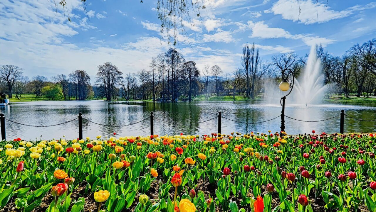 craiova,-in-topul-preferintelor-pentru-city-break:-tot-mai-multi-turisti-descopera-farmecul-orasului