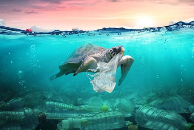 plasticul-disparut-din-oceane-a-fost-gasit,-iar-vestea-este-mai-grava-decat-se-credea.-ce-au-aflat-cercetatorii