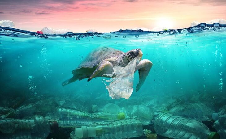 plasticul-disparut-din-oceane-a-fost-gasit,-iar-vestea-este-mai-grava-decat-se-credea.-ce-au-aflat-cercetatorii