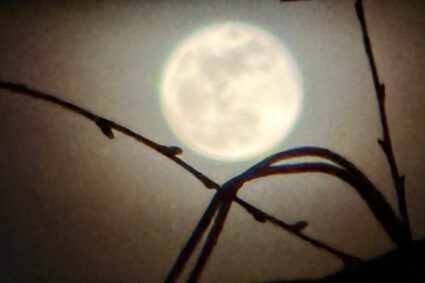 spectacol-pe-cer.-„luna-roz”-in-plina-splendoare
