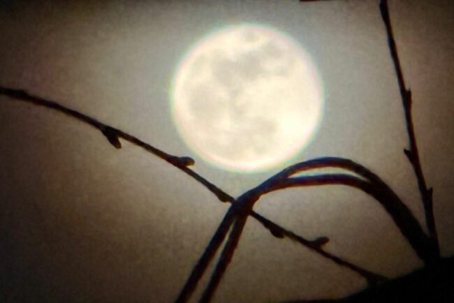 spectacol-pe-cer.-„luna-roz”-in-plina-splendoare