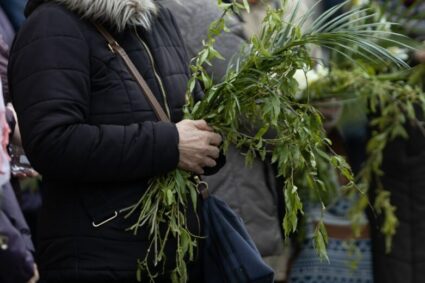 traditii-si-superstitii-de-florii:-ce-este-bine-sa-faci-cu-salcia-sfintita-si-ce-este-interzis-in-aceasta-zi