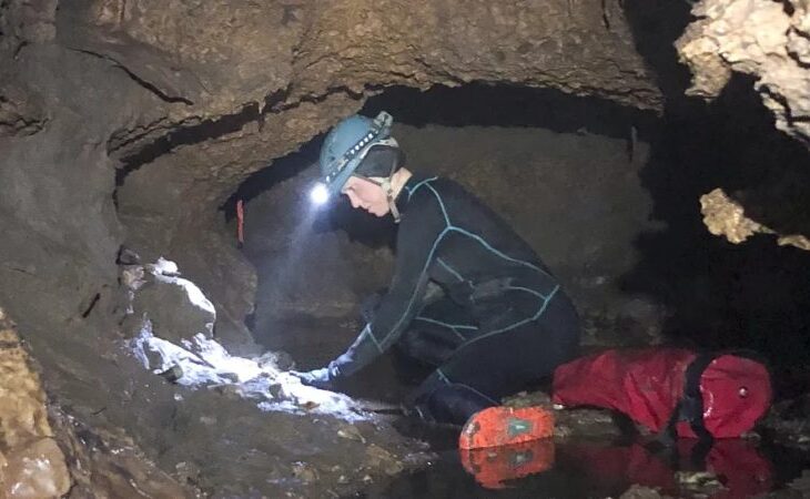 descoperire-spectaculoasa:-o-capsula-a-timpului-din-era-glaciara-scoate-la-iveala-animale-uriase-disparute