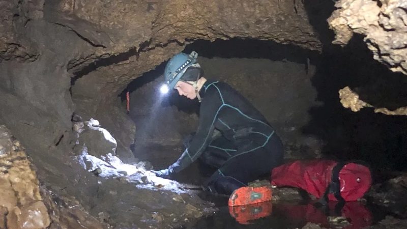descoperire-spectaculoasa:-o-capsula-a-timpului-din-era-glaciara-scoate-la-iveala-animale-uriase-disparute