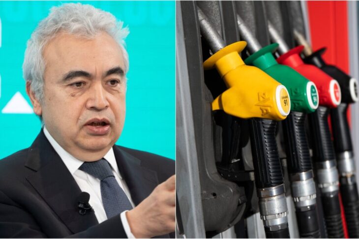 seful-agentiei-internationale-de-energie-face-predictii-dezastruoase-pentru-luna-aprilie.-„multe-tari-vor-incepe-rationalizarea-energetica”