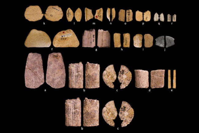primele-zaruri-din-lume-ce-jucau-amerindienii-acum-12.000-de-ani,-table,-yams-sau-barbut?