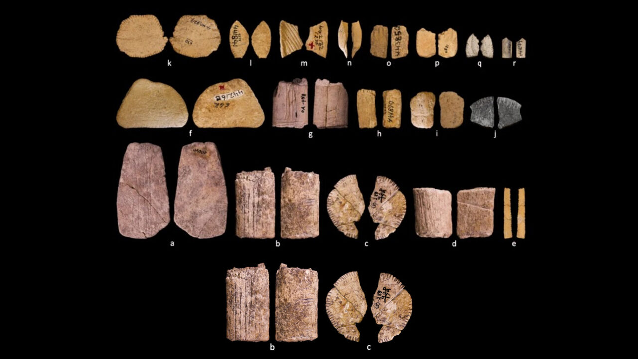 primele-zaruri-din-lume-ce-jucau-amerindienii-acum-12.000-de-ani,-table,-yams-sau-barbut?