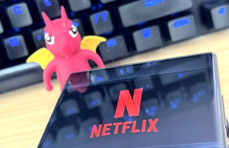 scumpirile-netflix,-declarate-ilegale-de-o-instanta.-decizia-care-poate-schimba-regulile-abonamentelor