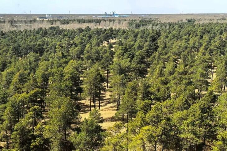 china-creeaza-imposibilul-in-marea-mortii:-desertul-taklamakan-incepe-sa-absoarba-co
