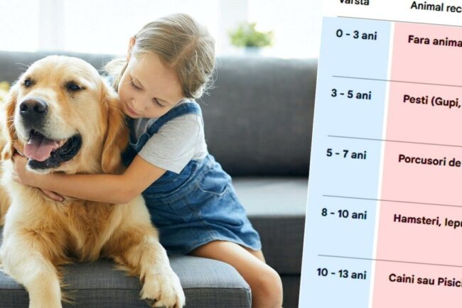 ce-animal-de-companie-sa-ii-cumperi-copilului-tau,-in-functie-de-varsta-lui