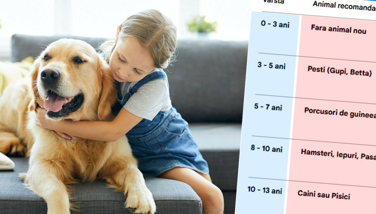 ce-animal-de-companie-sa-ii-cumperi-copilului-tau,-in-functie-de-varsta-lui