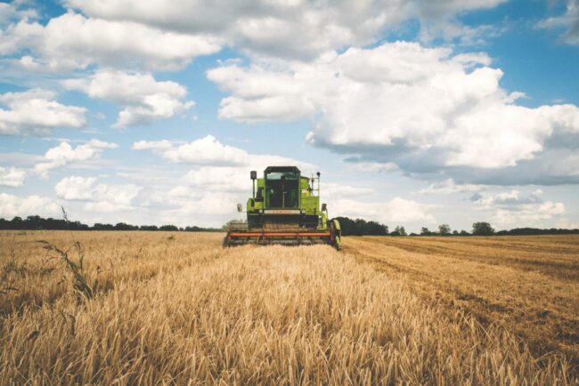 fermierii-europeni-merg-la-bruxelles-pentru-a-cere-ajutor-de-la-comisia-europeana.-ce-decizie-majora-poate-schimba-soarta-agriculturii