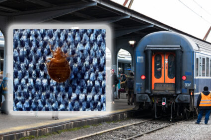 tren-infestat-cu-plosnite-intre-timisoara-si-arad-cfr-calatori-a-retras-din-circulatie-vagonul-afectat.-care-sunt-procedurile
