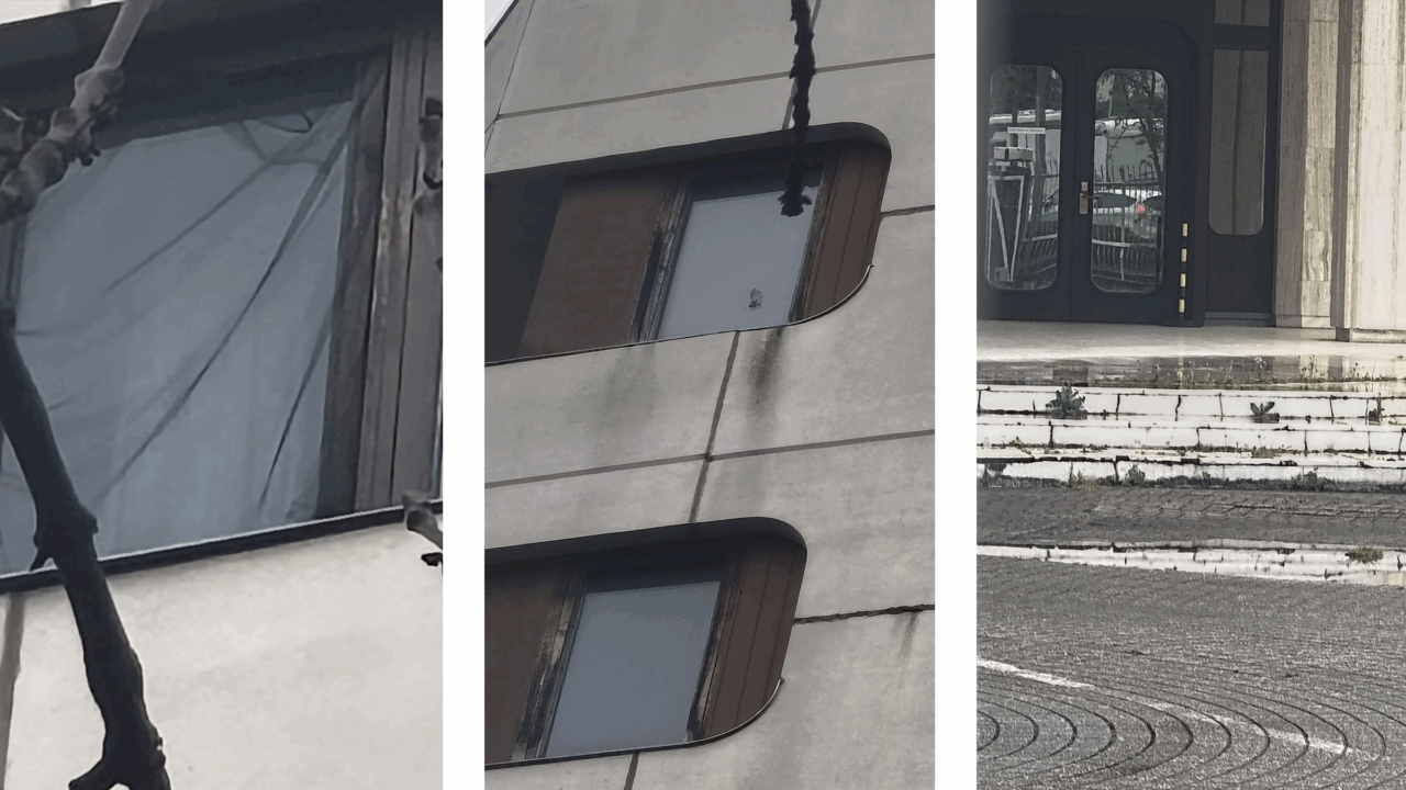 imagini-de-groaza-la-consulatul-din-bonn:-ne-tin-ca-pe-caini”