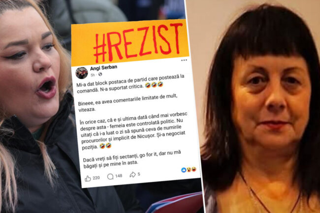 s-au-incaierat-activistele-#rezist-sustinatoarele-lui-nicusor-dan-au-ajuns-sa-se-acuze-ca-sunt-controlate-politic.-angi-serban,-atac-direct-la-dana-hering:-mi-a-dat-bloc-postaca-de-partid