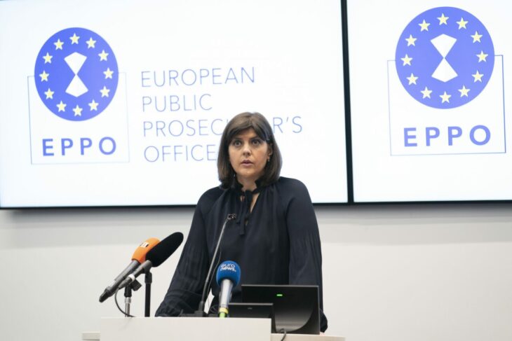 deputata-elena-sofia-voultepsi,-atacuri-la-adresa-codrutei-kovesi-si-a-romaniei:-provine-dintr-o-tara-care-nu-are-o-traditie-de-separare-a-puterilor