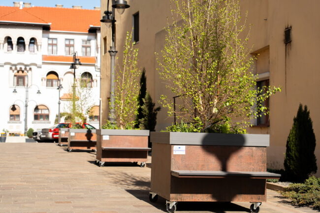 tara-nu-are-bani,-dar-oradea-cumpara-copaci-pe-roti-cu-2600-de-euro-bucata.-poze-incredibile-cu-padurea-urbana-mobila-dinorasulluibolojan