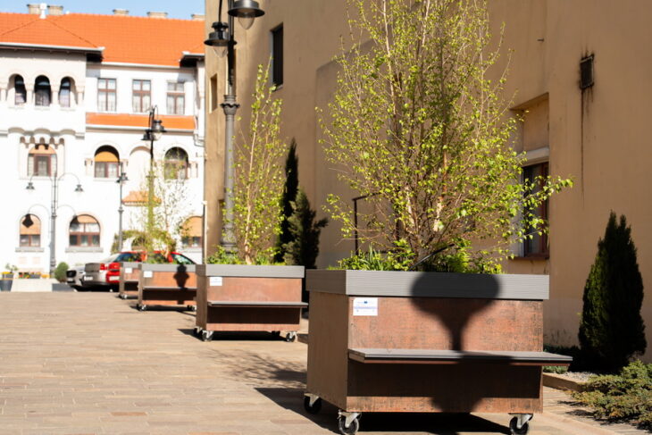 tara-nu-are-bani,-dar-oradea-cumpara-copaci-pe-roti-cu-2600-de-euro-bucata.-poze-incredibile-cu-padurea-urbana-mobila-dinorasulluibolojan
