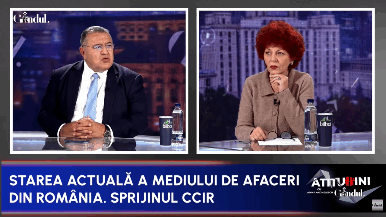 mihai-daraban,-seful-camerei-de-comert:-romania-este-pe-ultimul-loc-la-inovare-si-cercetare-in-ue.-nu-avem-branduri-romanesti-cu-valoare-adaugata
