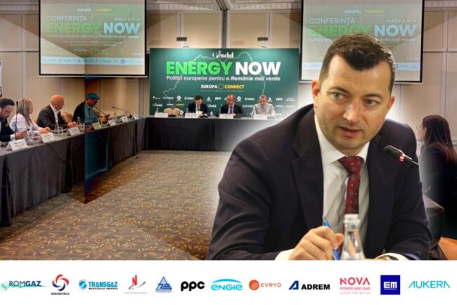 liviu-gavrila,-vicepresedinte-rwea,-la-gandul-energy-now:-trebuie-sa-acceleram-investitiile-pe-intreg-lantul