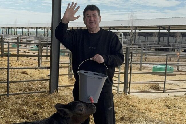 gabriel-oprea-anunta-o-investitie-de-5-milioane-de-euro-in-ferma-black-angus-detinuta-de-gigi-netoiu