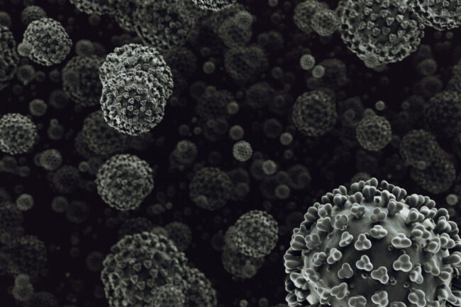 hantavirus:-misterioasa-boala-din-timpul-razboiului-din-coreea-care-a-ucis-250-de-soldati
